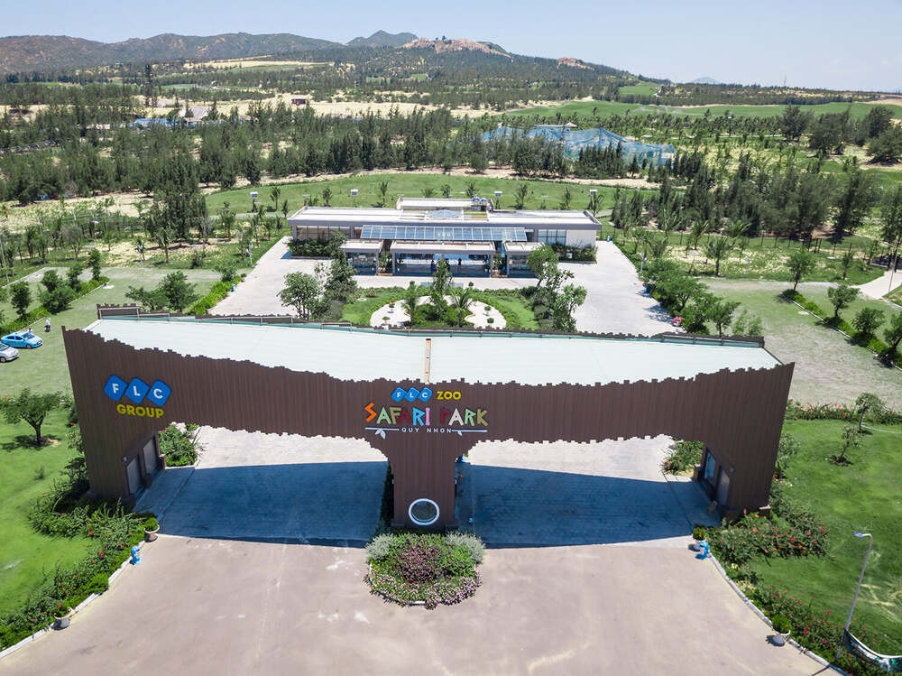 Trẻ em cho hươu cao cổ ăn tại FLC Zoo Safari Park Quy Nhơn