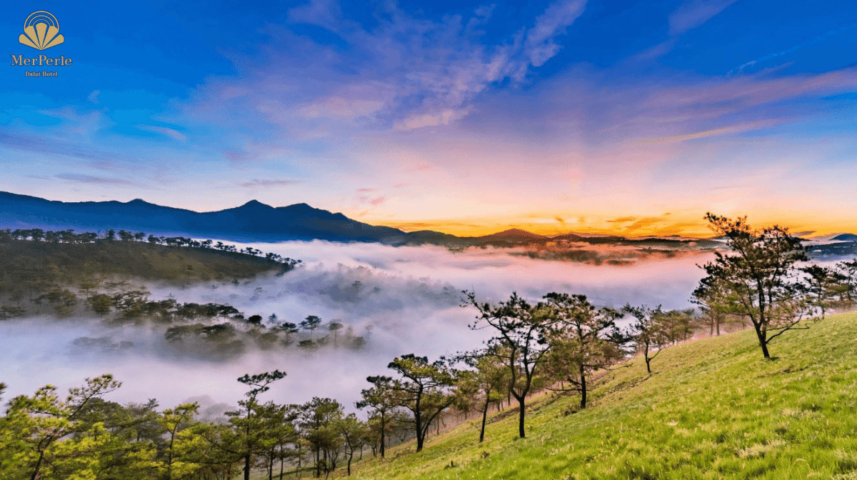 Cảnh quan thiên nhiên Đà Lạt nhìn từ phòng khách sạn view đẹp