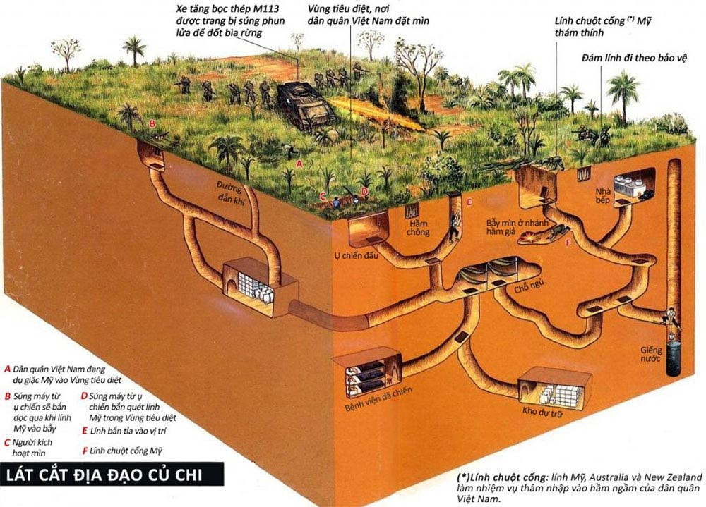 Mô hình lát cắt thể hiện cấu trúc phức tạp của bản đồ địa đạo Củ Chi với nhiều tầng và lối đi