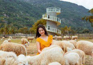 Thành phố biển Cam Ranh xinh đẹp thuộc tỉnh Khánh Hòa, miền Trung Việt Nam