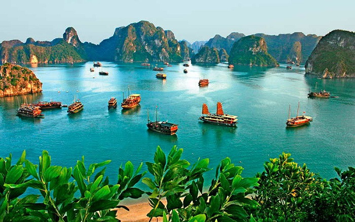 Vịnh Hạ Long với hàng ngàn đảo đá vôi kỳ vĩ hiện lên như bức tranh thủy mặc độc đáo