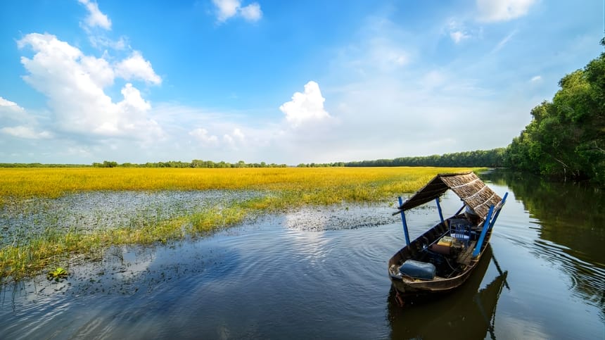 4 thời điểm trekking đẹp nhất ở vườn quốc gia Tràm Chim