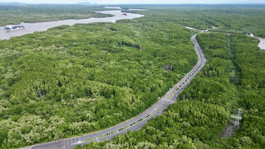 Cần Giờ là xã duy nhất thuộc Hồ Chí Minh mà xác biển