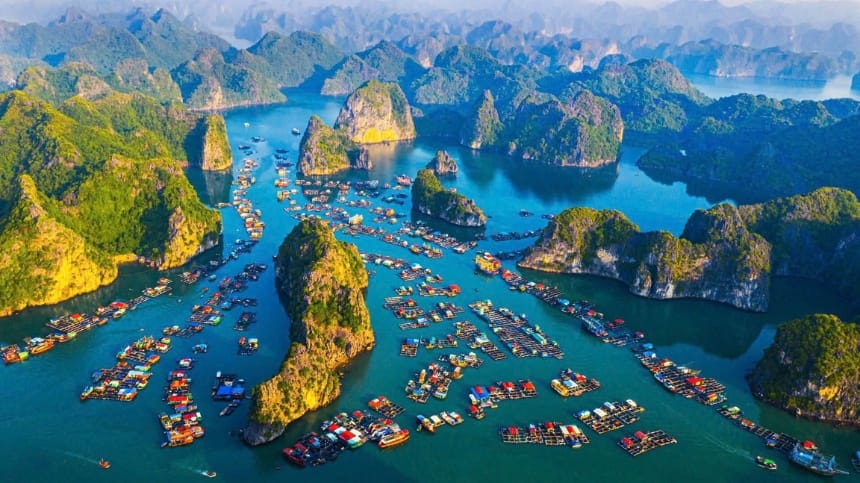 Cát Bà là hòn đảo có hệ sinh thái đa dạng