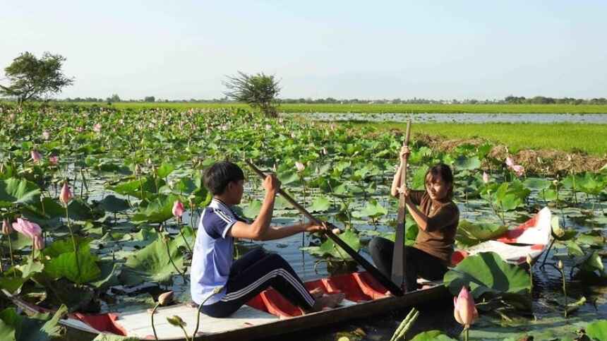 Chèo xuồng giữa đồng sen - Hoạt động được du khách yêu thích