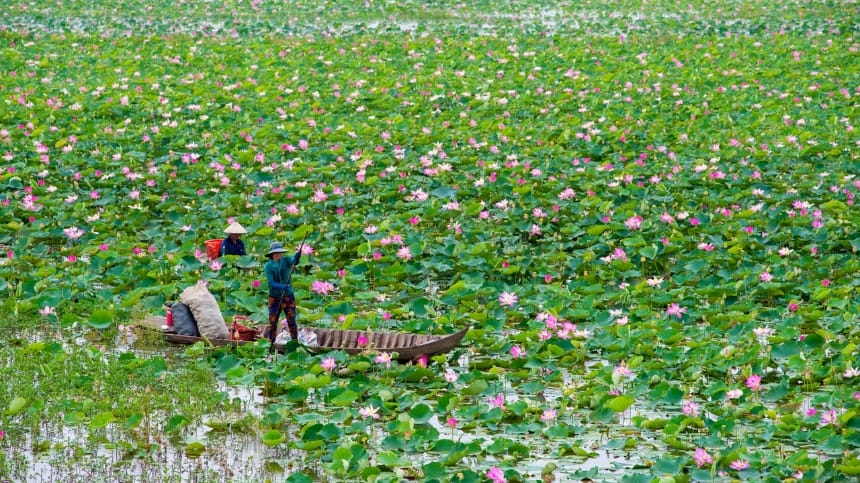 Chợ nổi Tân Lập đậm chất đời sống miền Tây
