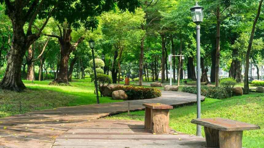 Công viên Gia Định với không gian thoáng đãng và dễ chịu
