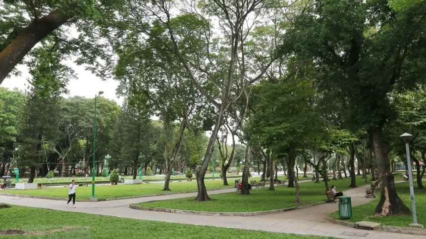 Dạo bộ trên con đường rợp bóng cây xanh