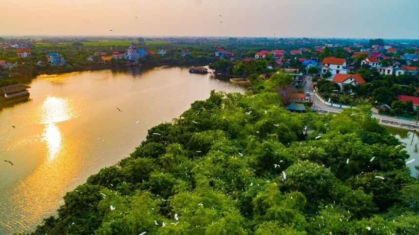 Đảo cò và khu sinh thái với thảm thực vật đặc trưng