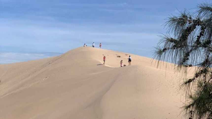 Đồi cát ven biển hoang sơ