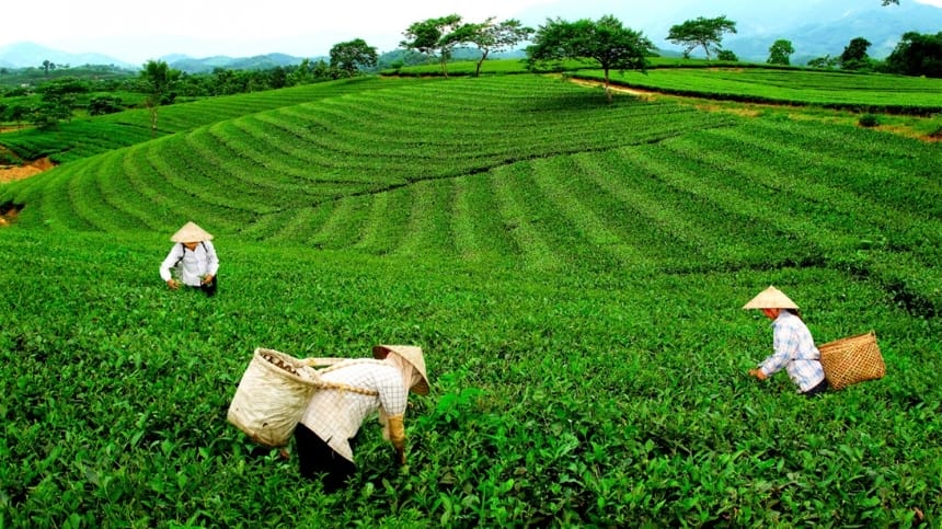 Đôi nét về du lịch Thái Nguyên