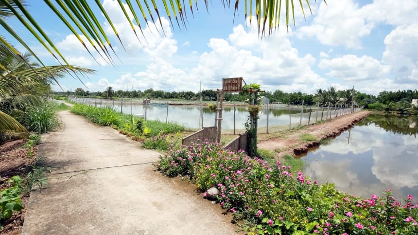 Dừa sáp Cầu Kè là đặc sản không thể bỏ qua