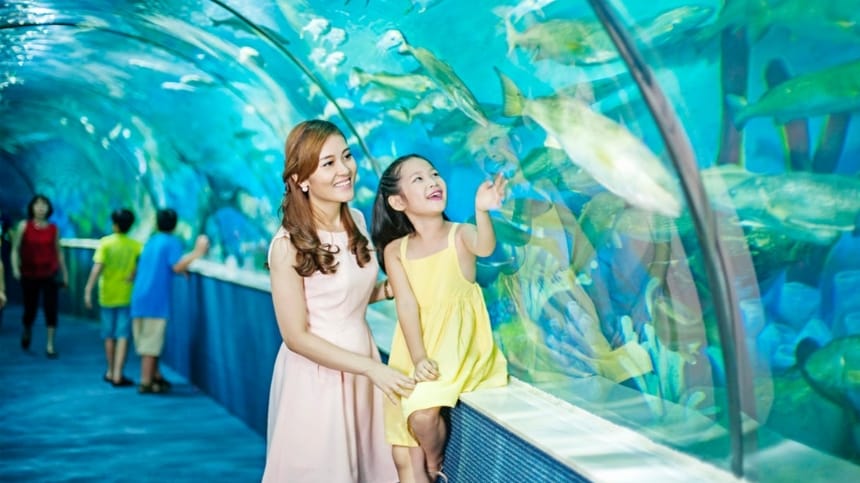 Giới thiệu tổng quan về Time City - điểm vui chơi đỉnh tại Hà Nội