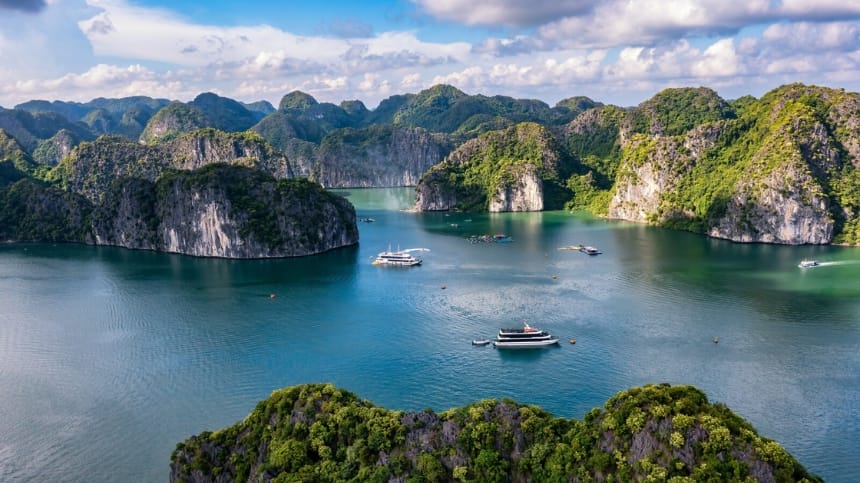 Hải sản Cát Bà nổi bật với độ tươi ngon, chắc thịt