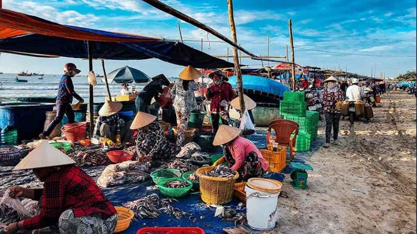 Hải sản tươi được đánh bắt từ biển Hải Tiến