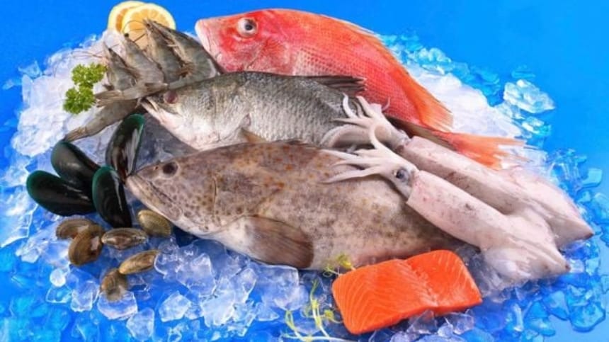 Hải sản tươi sống được đánh bắt trực tiếp trong ngày