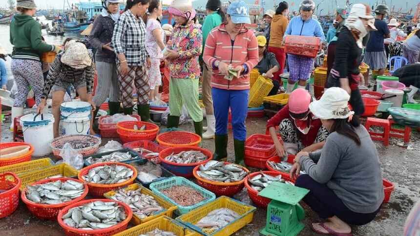 Hải sản tươi tại vùng biển Bình Định