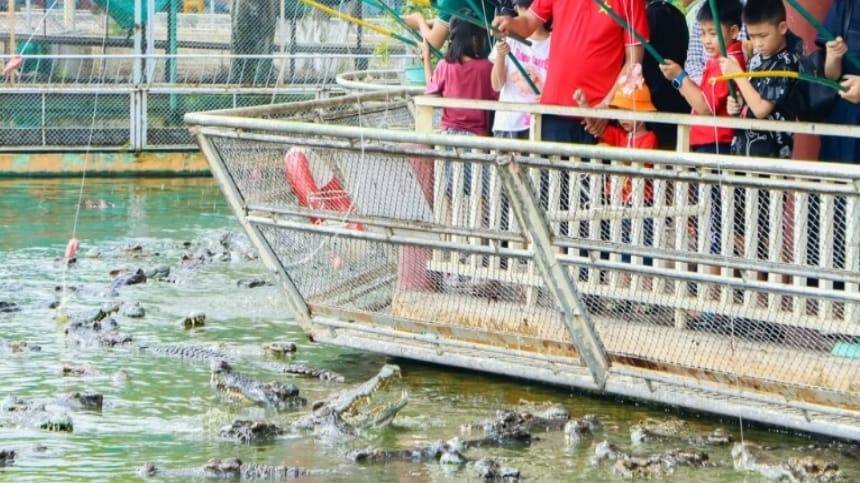 Nên đến Suối Tiên vào tháng 12 đến tháng 4 hàng năm