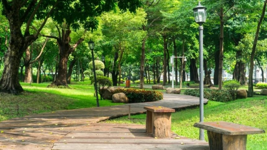 Nên đến công viên vào buổi sáng để tận hưởng không khí trong lành