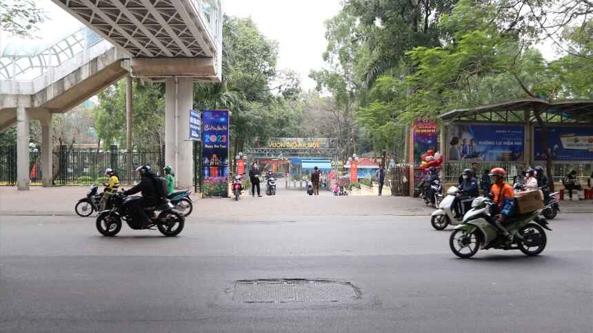 Nên đến tham quan vườn thú vào buổi sáng