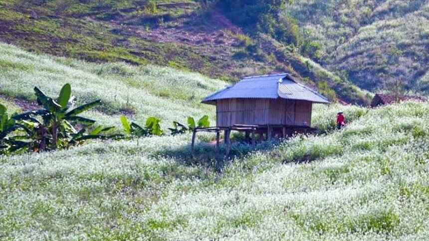Ngày 3: Trải nghiệm bản làng – Ẩm thực – Văn hóa địa phương