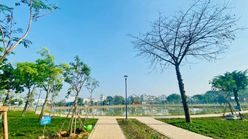 Những bức ảnh nghệ thuật tại công viên