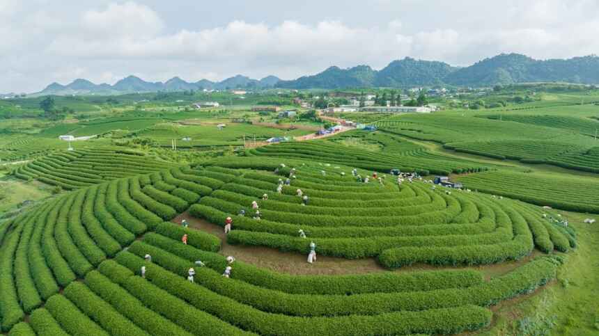 Sơn La có gì chơi? Trải nghiệm Lễ hội truyền thống – Sắc màu văn hóa