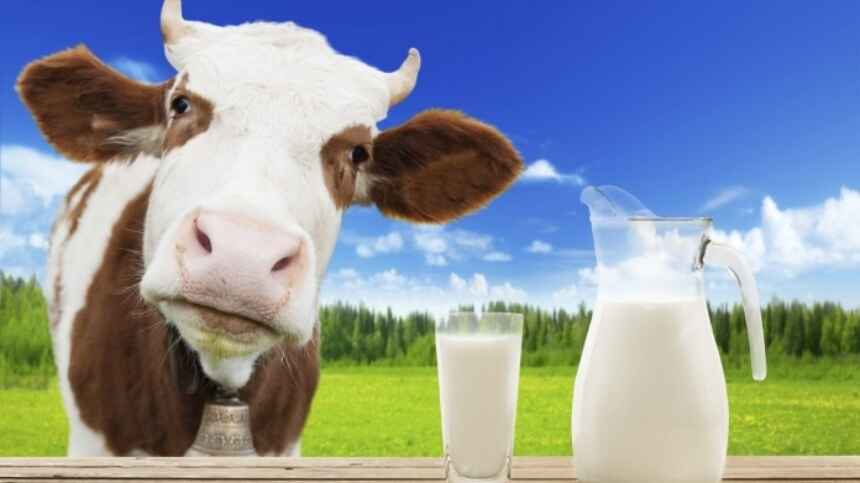 Sữa và các sản phẩm được chế biến từ sữa