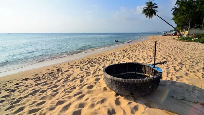 Thưởng thức gỏi cá mai đặc biệt