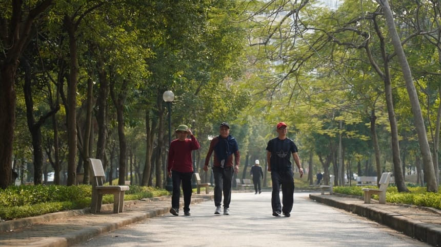 Trải nghiệm đi bộ thư giãn dưới tán cây xanh mát