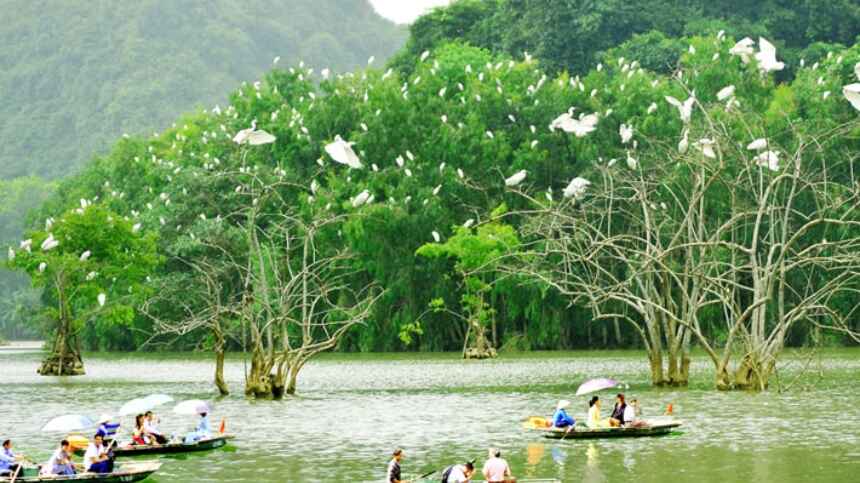 Vườn chim Thung Nham mang nét đẹp nguyên sơ