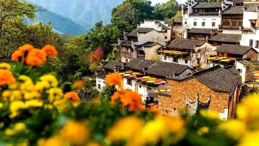 Vườn sinh thái Đồi Hoa Vàng mô hình đồng quê thu nhỏ