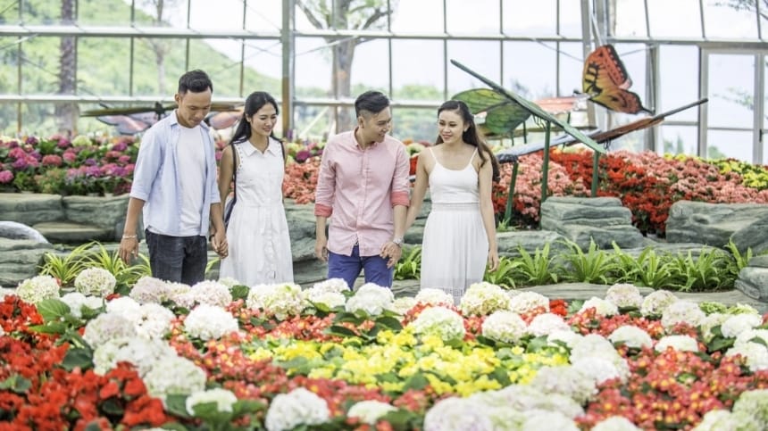 Các loài cây đặc biệt ở công viên thực vật cảnh Việt Nam