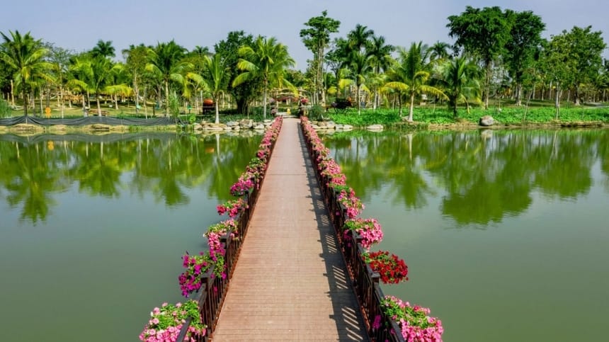 Cầu gỗ và góc ảnh bên hồ công viên Hồ Thiên Nga