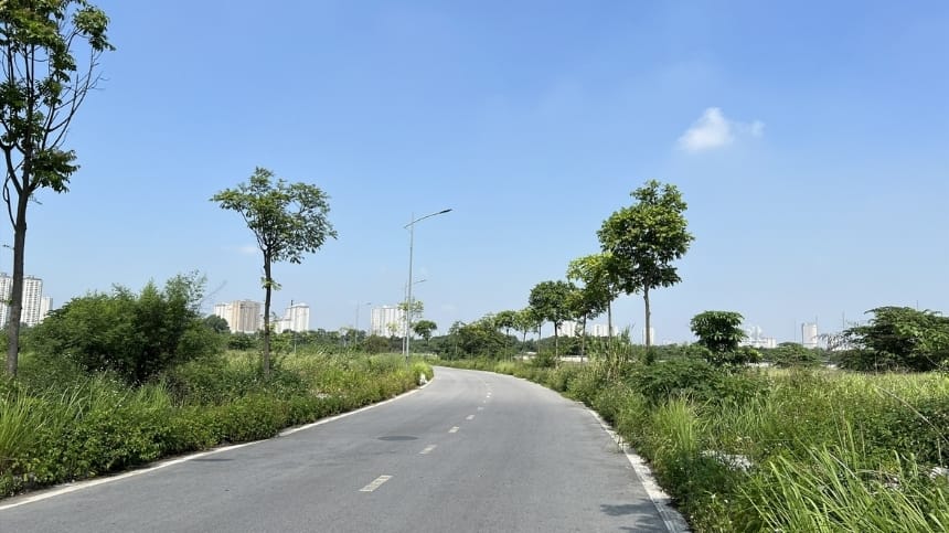Có nên đi công viên Chu Văn An hiện nay?