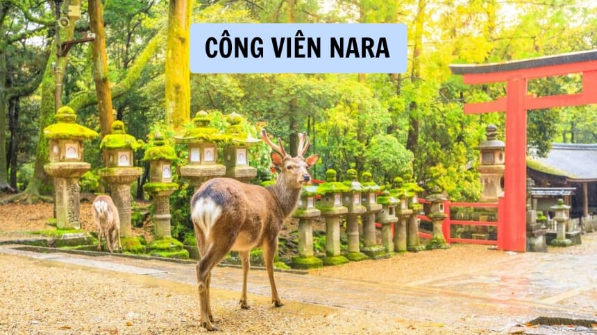 Công viên Nara
