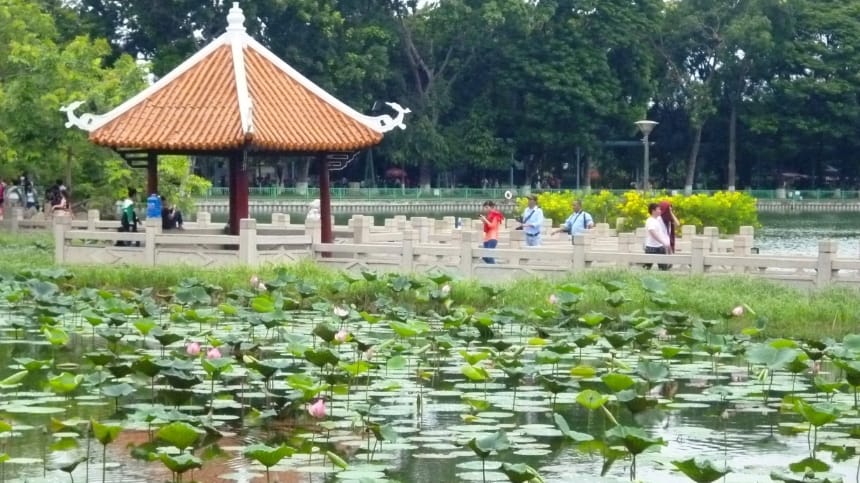 Đầm Sen Tam Đa thơ mộng ven đường