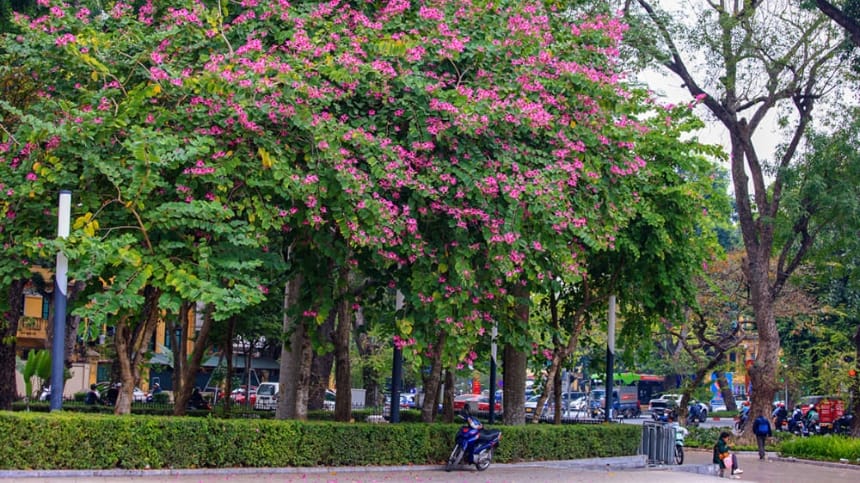 Đánh giá điểm ấn tượng của công viên Lênin
