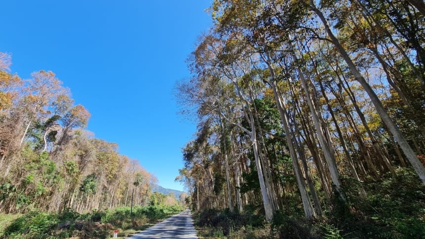 Đi mùa nào đẹp và dễ trekking nhất?