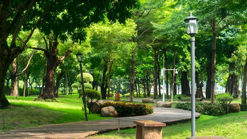 Giới thiệu công viên Làng hoa Gò Vấp