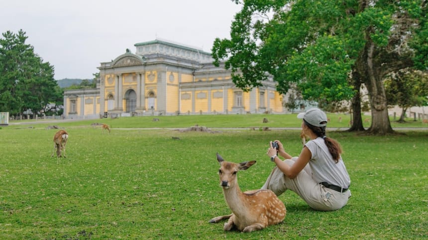 Giới thiệu công viên Nara