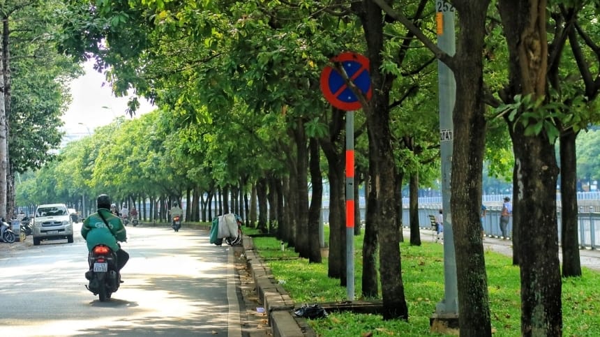 Góc cây xanh rợp bóng mát