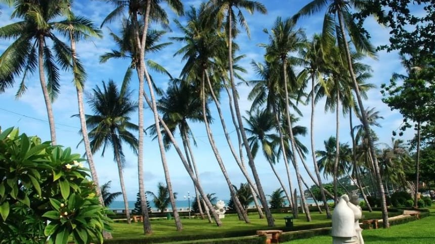 Góc check-in hàng cây xanh