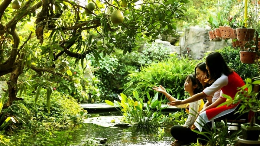 Hướng dẫn tham quan công viên thực vật cảnh Việt Nam