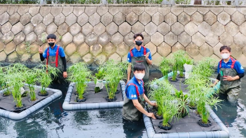 Kênh rạch thủy sinh và mùa mật ong