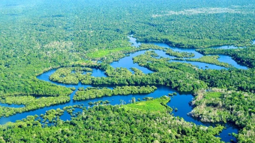Khu nước ngọt Amazon và Mekong