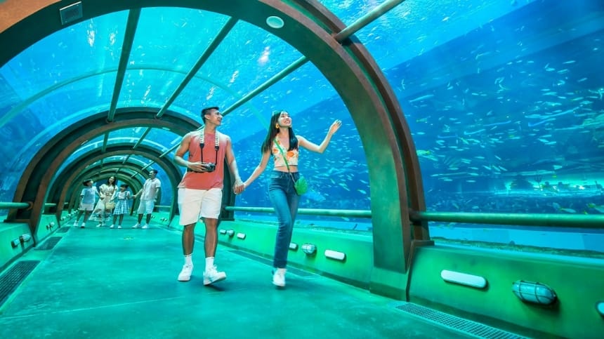 Lưu ý khi đi thủy cung để trải nghiệm tốt nhất