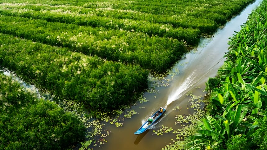 Một số câu hỏi khi tìm tour đi vườn quốc gia U Minh Hạ