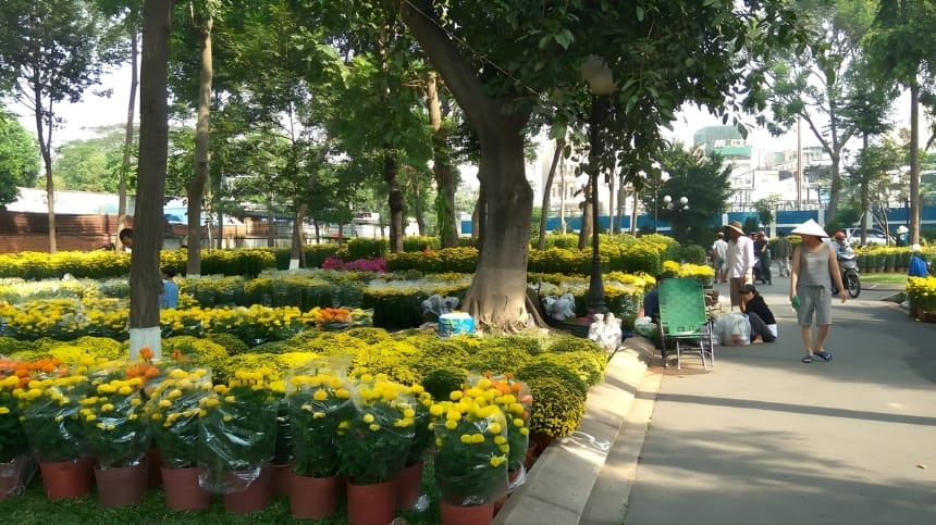 Nét đẹp nổi bật tại công viên Làng hoa