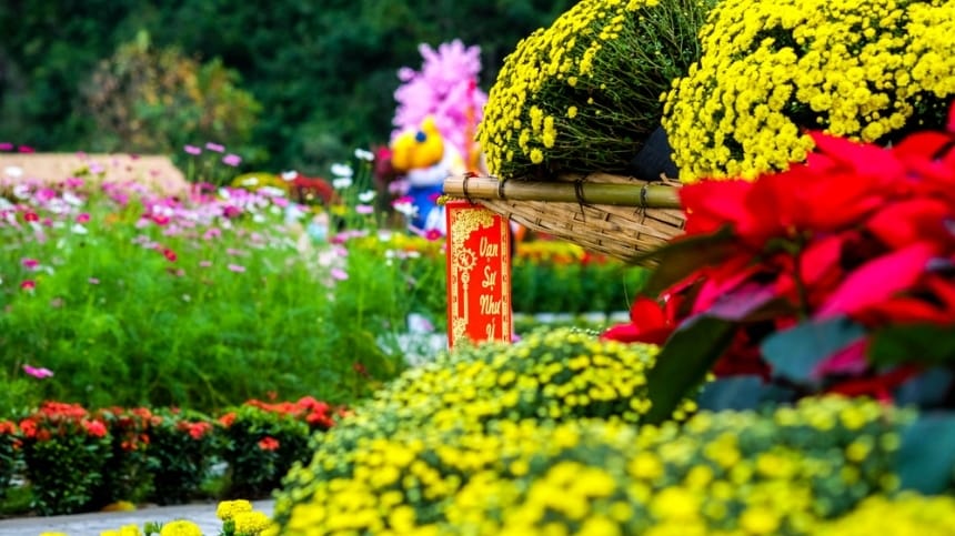 Những lưu ý khi đi công viên làng hoa Gò Vấp